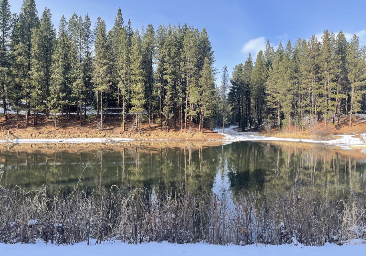 Winchester state park